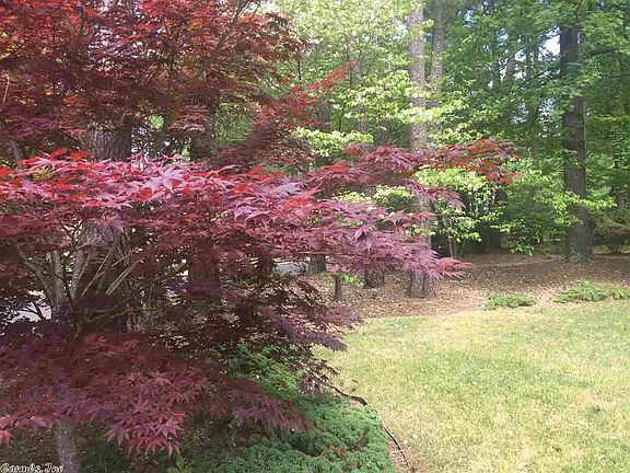 2nd image of 1 Pine Forest Dr