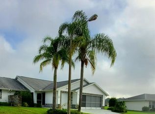 10832 Cup Dr, San Antonio, FL 33576