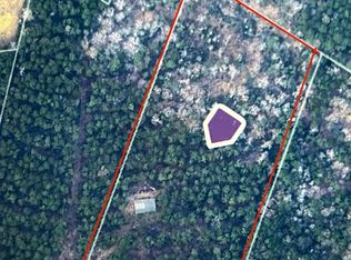 1859 Mill Gate Rd, Livingston, TX 77351