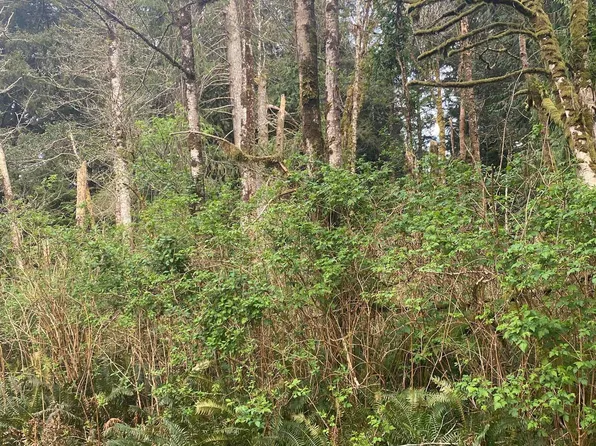 Tl 1000 Southeast Dr #54, Lincoln City, OR 97367