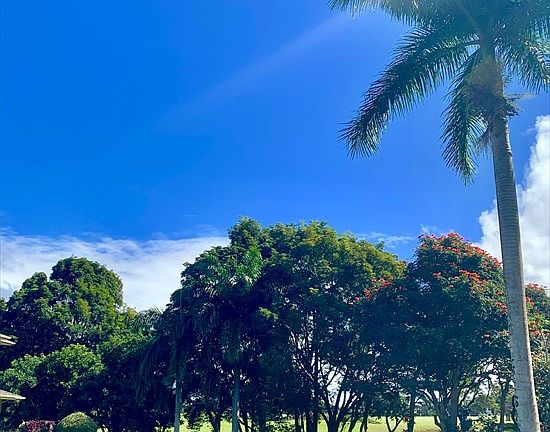 3rd image of 3987 Kamehameha Rd Lot 2