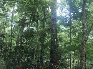 4648 Trailer Park Ln LOT 46-48, Sevierville, TN 37876