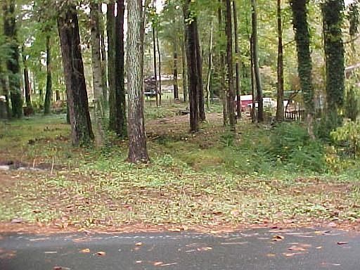 .4 Acre Buildable Lot