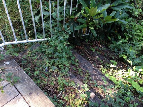 4th image of 425 Ezduzit Ln