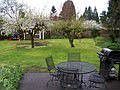 back yard/patio