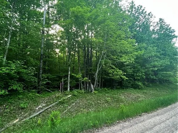 Lot 4 Universal Drive, Winter, WI 54896