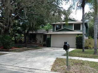 3721 Orangecrest St, Valrico, FL 33596