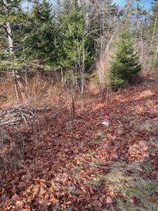 Lot 8 Spruce Head Road, South Thomaston, ME, 04858