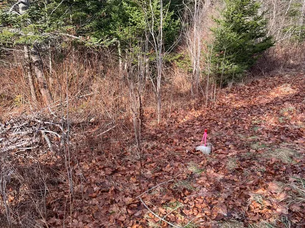 Lot 8 Spruce Head Road, South Thomaston, ME 04858