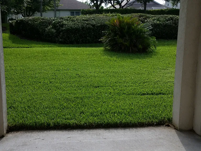 2405 Silvermoss Dr — Photo 22
