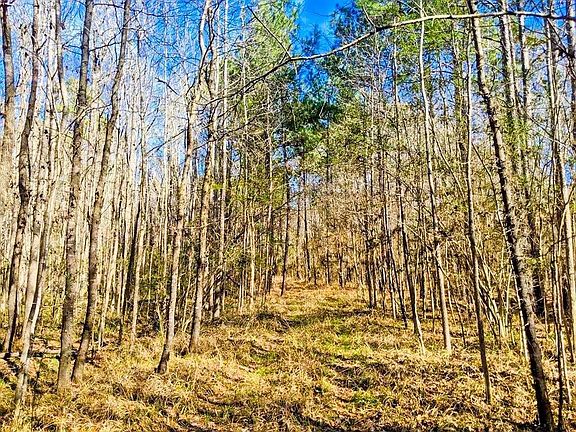 2nd image of Veal St W
