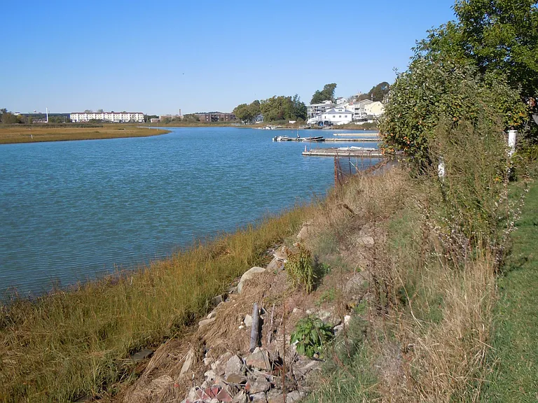 view northwest from lawn - mid-tide