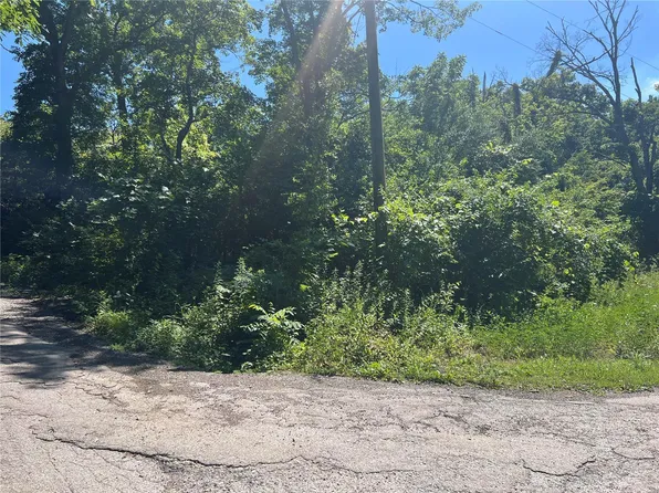 8841 Central Point Rd, Hillsboro, MO 63050