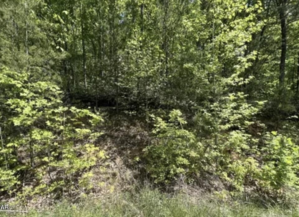 2nd image of 81 Yellowwood Dr Lot 81