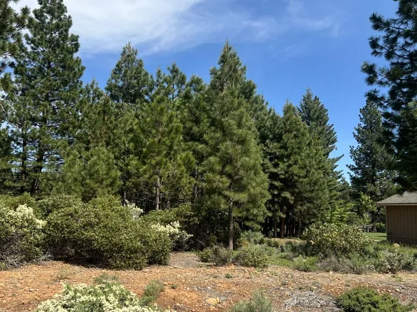 87 Flint Way, Westwood, CA 96137