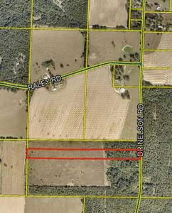 1 Dr Nelson Rd, Defuniak Springs, FL, 32433