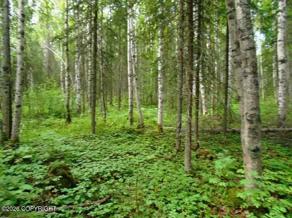 1801 N Claudia Rd, Wasilla, AK 99623