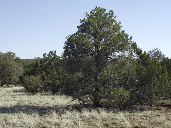 1303 E Antler Ln #546, Williams, AZ 86046