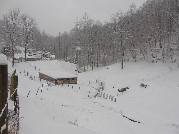 84th image of this home