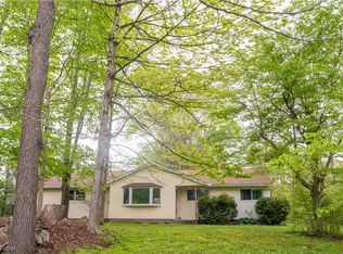 18889 Riverview Dr, Chagrin Falls, OH 44023