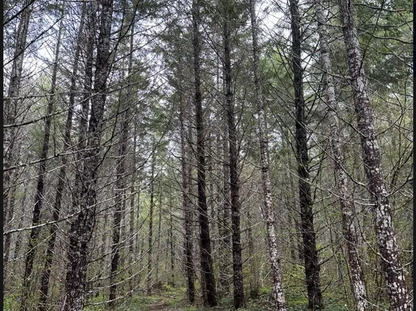 7300 Kalama River Road, Kalama, WA 98625