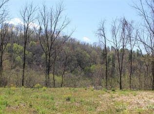 588 Star Ridge Rd, Canton, NC 28716