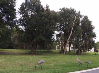 407 Long And Winding Rd, Howey In The Hills, FL 34737