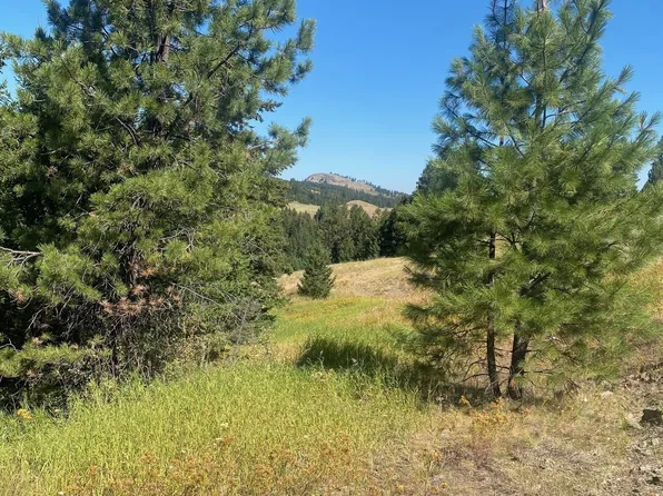 147 Myers Creek Road, Oroville, WA 98844