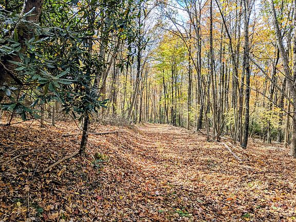 42nd image of this home