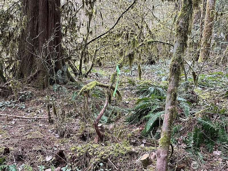 4th image of 7138 Rainier Way