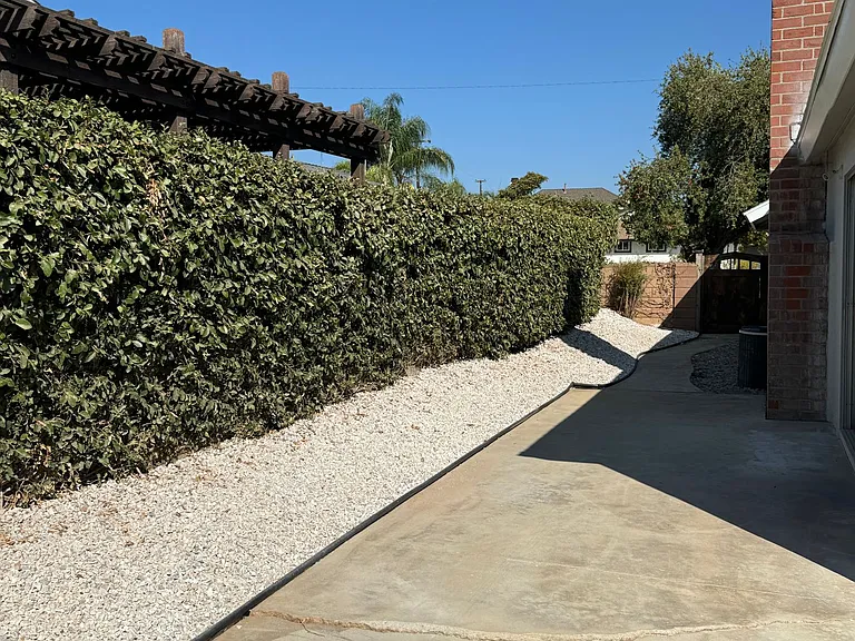 2105 E Petunia St — Photo 28