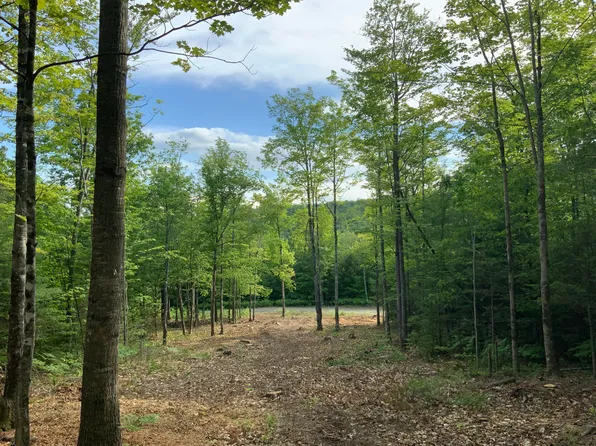 Lot #4 Mooseley Ridge Road, Phillips, ME 04970