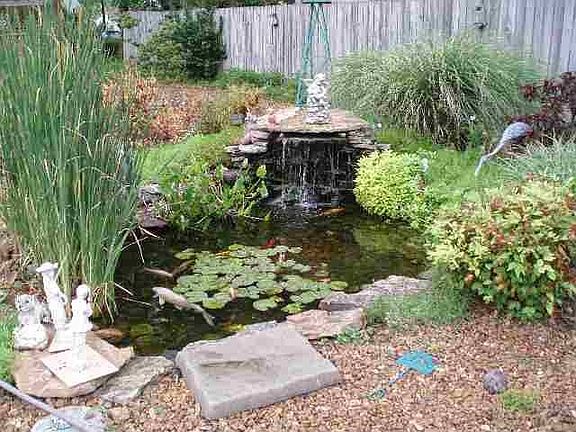 Koi pond with the fish stay!