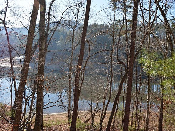5th image of 2 Cane Creek Ln