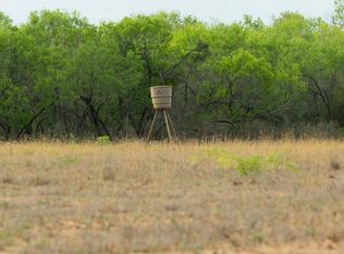 872 Rodriguez Ln, Pleasanton, TX 78064