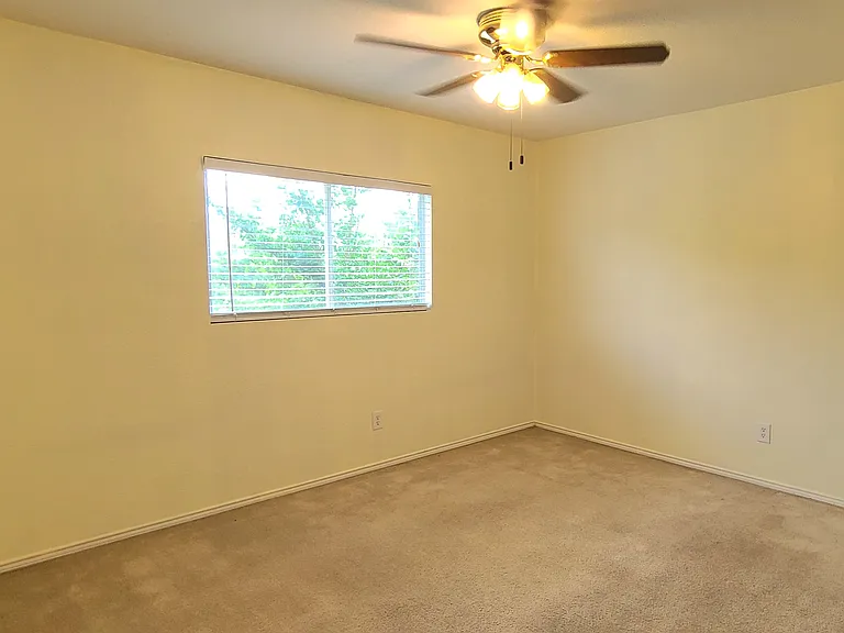 8426 Silver Brush — Photo 13