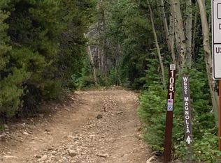 105.1 Forest Service Camp Rd, Rollinsville, CO 80474