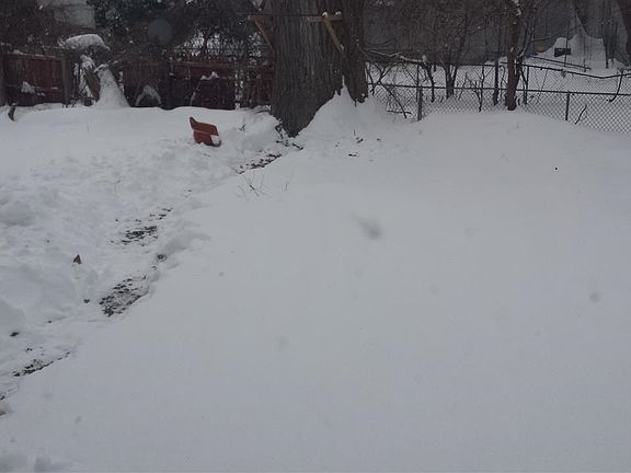 5th image of 39 N Manning Blvd