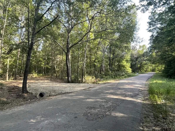 TRACT Two County Rd #4908, Ben Wheeler, TX 75754
