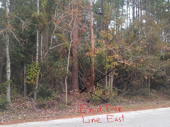East Property Line