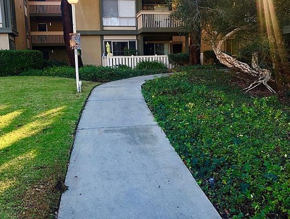 5th image of 254 Sequoia Ct APT 13