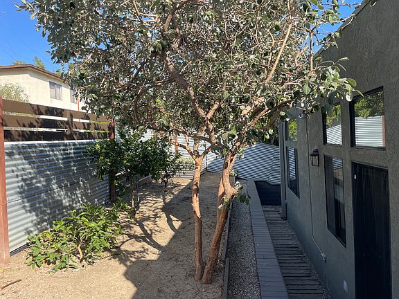 Side yard. Tangerine, orange, and lime trees.