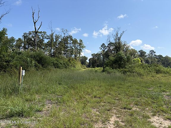 5th image of 8127 Magnolia Holmesville Rd