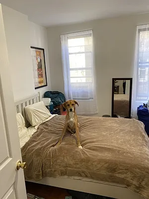 Rented by NY Living Solutions | media 1