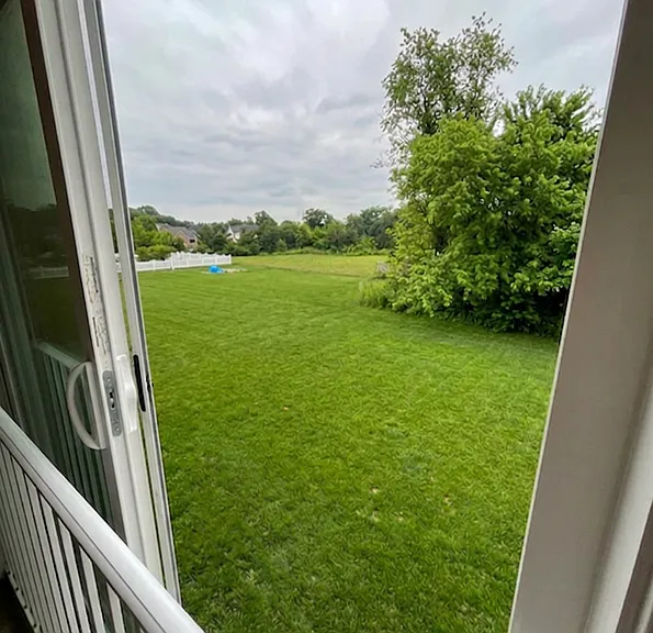 Backyard with view to the left