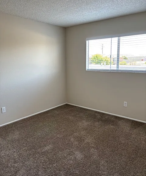 377 W Wilson St #10 — Photo 36