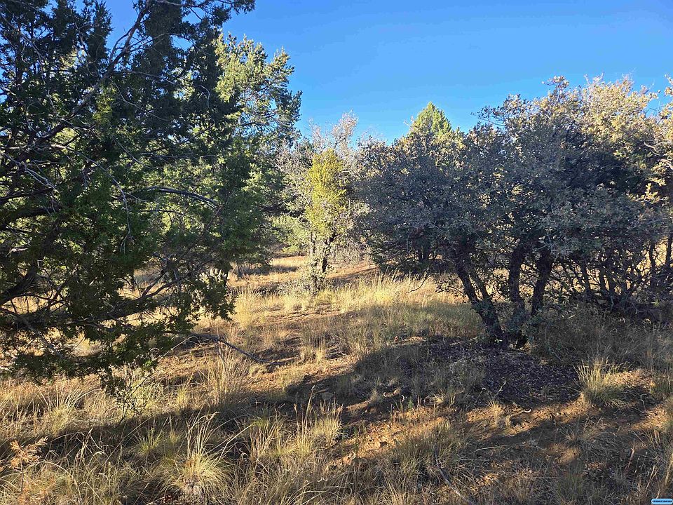 2nd image of Sanctuary Rd