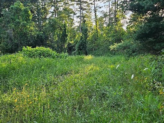2nd image of 35 Blash Rd