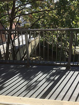 4th image of 8950 56th Ave APT 4C