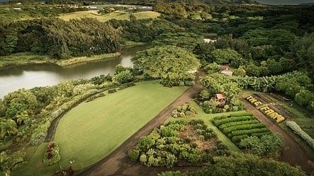 5th image of 4 Pualeikukui Pl Lot 4